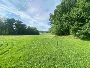 Dražba louky, Maleč, 6901 m2