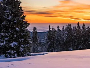 Prodej bytu 2+kk, Vrchlabí, Pražská, 62 m2