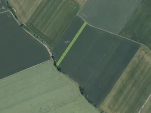 Prodej pole, Loučany, 2936 m2