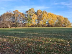 Prodej pozemku pro bydlení, Strýčice, 19527 m2