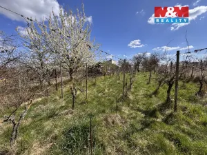 Prodej chaty, Hrušovany u Brna, 21 m2