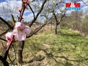 Prodej chaty, Hrušovany u Brna, 21 m2