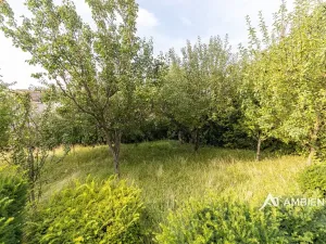 Prodej rodinného domu, Brno, 393 m2