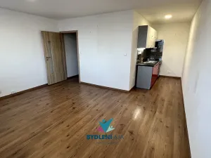Pronájem bytu 1+kk, Teplice, Krušnohorská, 33 m2