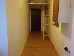 Pronájem bytu 1+1, Praha - Žižkov, Vlkova, 50 m2