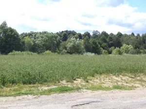 Dražba louky, Batelov, 4944 m2