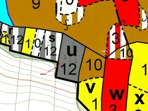 Dražba lesa, Přemyslovice, 1381 m2