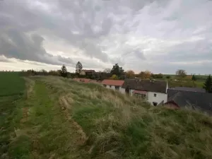 Dražba pole, Židovice, 123 m2