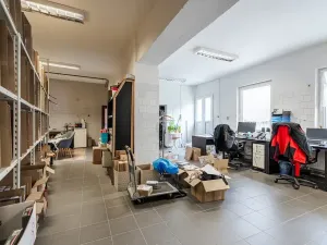 Prodej vícegeneračního domu, Ostopovice, U Kaple, 450 m2