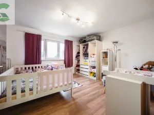 Prodej rodinného domu, Velký Týnec, Krátká, 300 m2