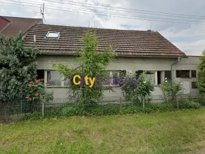 Prodej rodinného domu, Panenské Břežany, Baštecká, 200 m2