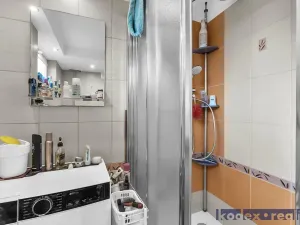 Prodej rodinného domu, Hradec Králové, U Jednoty, 300 m2