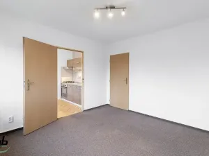 Prodej bytu 1+1, Frýdek-Místek, Ostravská, 30 m2