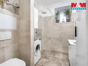 Prodej bytu 2+1, Mladá Boleslav - Mladá Boleslav IV, Ptácká, 49 m2