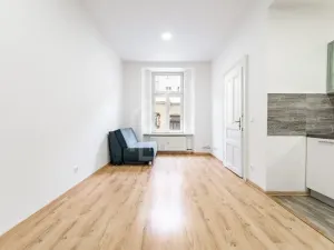 Prodej bytu 1+1, Praha - Nusle, Oldřichova, 48 m2