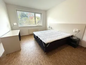 Pronájem bytu 1+kk, Praha - Smíchov, Křížová, 27 m2