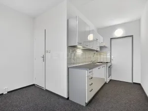 Prodej bytu 2+1, Plzeň, Elišky Krásnohorské, 60 m2