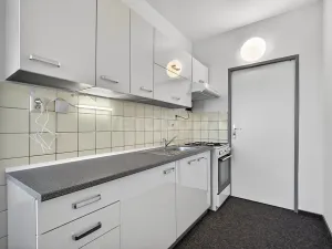 Prodej bytu 2+1, Plzeň, Elišky Krásnohorské, 60 m2