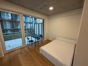 Pronájem bytu 1+kk, Brno, Koliště, 22 m2