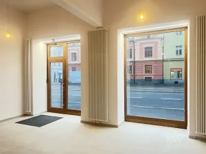 Pronájem obchodního prostoru, Plzeň, Klatovská třída, 95 m2
