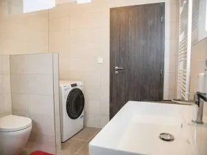 Pronájem bytu 2+kk, Heřmanova Huť, U Pondu, 60 m2