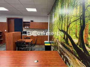 Pronájem kanceláře, Brno, U Leskavy, 92 m2