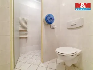 Prodej obchodního prostoru, Mariánské Lázně, Masarykova, 101 m2