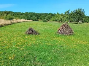 Prodej zahrady, Uherský Brod, 1066 m2