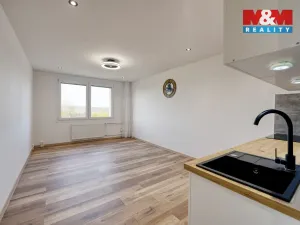 Prodej bytu 1+kk, Horní Bříza, U Vrbky, 25 m2