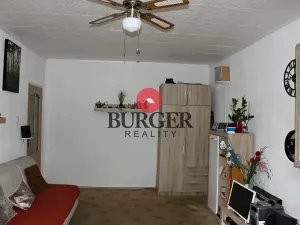 Prodej bytu 1+1, Chomutov, Výletní, 40 m2