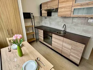 Prodej bytu 2+1, Javorník, Nádražní, 54 m2