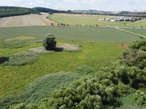 Dražba louky, Střížovice, 2388 m2