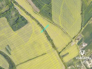 Prodej podílu pole, Traplice, 913 m2