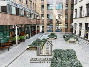 Pronájem kanceláře, Praha - Nové Město, Vladislavova, 63 m2