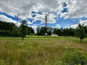 Prodej louky, Týn nad Vltavou, Hněvkovice na pravém břehu Vlt., 1648 m2