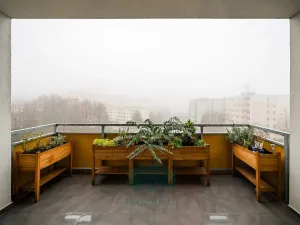 Prodej bytu 2+kk, Brno, Kamínky, 66 m2