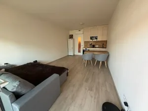 Pronájem bytu 1+kk, Praha - Žižkov, Tetauerova, 33 m2