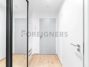 Pronájem bytu 1+kk, Brno, Spolková, 27 m2