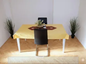 Pronájem pokoje, Praha - Břevnov, Bělohorská, 17 m2