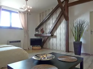 Pronájem bytu 1+1, Brno, Zvěřinova, 53 m2