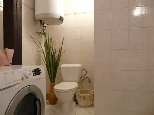 Pronájem bytu 1+1, Brno, Zvěřinova, 53 m2