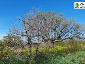 Prodej pozemku pro bydlení, Vrbnik, Chorvatsko, Ulica Potočina, 625 m2