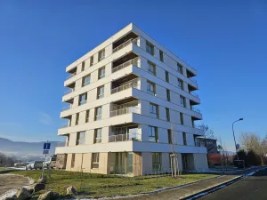 Pronájem bytu 1+kk, Liberec, Polní, 34 m2