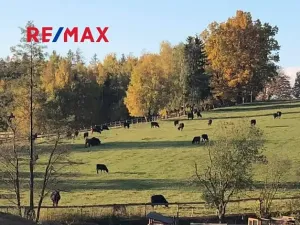 Prodej pozemku, Vyskytná nad Jihlavou, 172102 m2