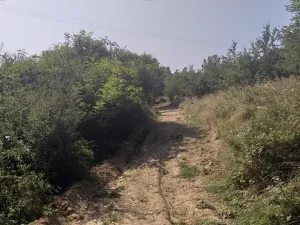 Dražba louky, Úterý, 34244 m2