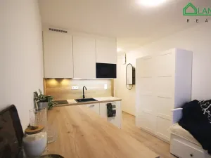 Pronájem bytu 1+kk, Brno, Francouzská, 23 m2