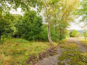 Prodej zahrady, Malé Žernoseky, 1568 m2