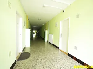 Pronájem bytu 1+1, Brno, Sibiřská, 31 m2