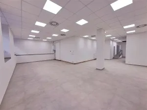 Pronájem obchodního prostoru, Praha, Cimburkova, 357 m2