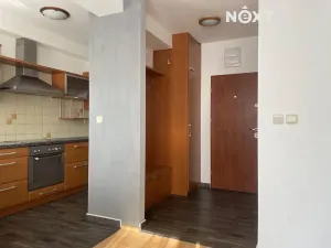 Pronájem bytu 2+kk, Uherský Brod, Babí louka, 55 m2